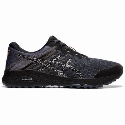 Férfi Asics Alpine Xt 2 Terepfutó Cipő AS4062978 Szürke/Titán